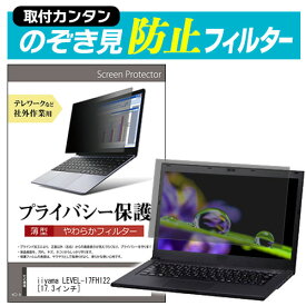 ＼スーパーSALE 開催中／ iiyama LEVEL-17FH122 [17.3インチ] のぞき見防止 プライバシーフィルター 薄型 覗き見防止 液晶保護 反射防止 キズ防止 やわらか メール便送料無料