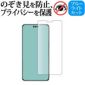ファーウェイ Mate 60 Pro / Mate 60 Pro+ 液晶保護 フィルム 180度左右覗き見防止フィルム jgs bgt 互換品