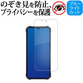 ＼10日はP最大8倍!!／ OUKITEL WP36 ( 6.52インチ ) 液晶保護 フィルム 180度左右覗き見防止フィルム jgs bgt