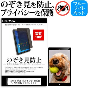 Apple iPad 10.9C` 10 2022N [10.9C`] `h~ ̂h~ vCoV[ ی tB E2 180x ˖h~ u[CgJbg [֑ jgs bgt ݊i