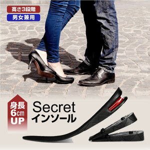 V[NbgC\[ 22.5cm`27.0cm 3w \ K C\[ fB[X Y p ő6cm 6cm OiK \ R j  V[Nbg u[c Xj[J[ r