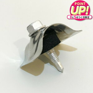 Snp grX y32gp 100{z|JgEKogɎgp (XeX)M5×25