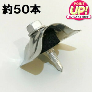 Snp grX y32gp 50{z|JgEKogɎgp (XeX)M5×25