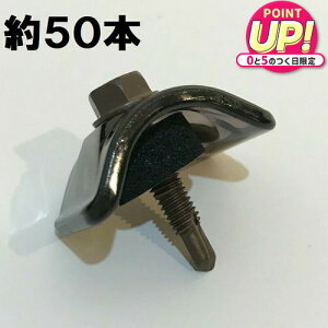 Snp grX y32gp 50{z|JgEKogɎgp (uYF)M5×25