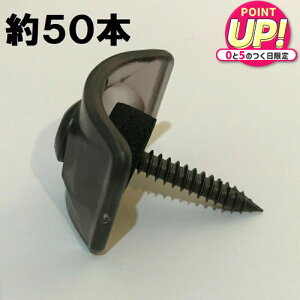 ؉np grX y32gp 50{z|JgEKogɎgp (uYF)M5×35