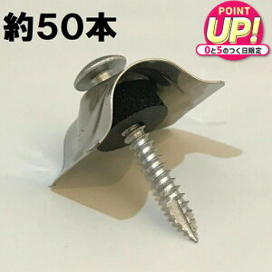 ؉np grX 5×35 I[Xey32gp 50{z|JgEKogɎgp (rXXeX)