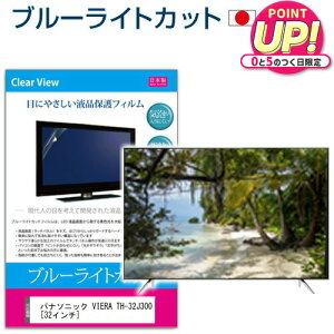 �p�i�\�j�b�N VIERA TH-32J300 [32�C���`] �ی� �t�B���� �J�o�[ �V�[�g �u���[���C�g�J�b�g ���˖h�~ �w��h�~ �C�A���X �R�� �e���r�p �t���ی�t�B���� ���[���֑������� jgs bgt �݊��i