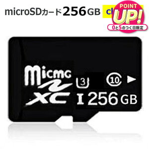 �}�C�N��sd�J�[�h SD�J�[�h microSD�������[�J�[�h �}�C�N�� SD�J�[�h �e��256GB ���� class10 ���[���֑������� jgs bgt �݊��i