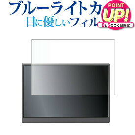 JAPANNEXT JN-MD-IPS105FHDPR ( 10.5インチ ) 液晶保護 フィルム ブルーライトカット 反射防止 保護フィルム 指紋防止 メール便送料無料 jgs bgt 互換品