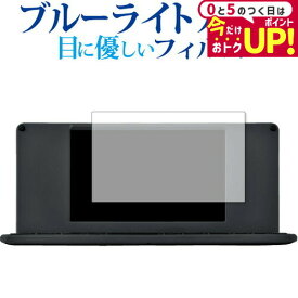 ＼15日はポイント最大5倍!!／ KING JIM デジタルメモ ポメラ DM250 DM200 保護 フィルム ブルーライトカット 反射防止 保護フィルム 指紋防止 メール便送料無料 jgs bgt