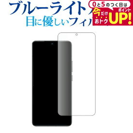 ＼15日は最大P5倍!!／ Xiaomi POCO F6 Pro 液晶保護 フィルム ブルーライトカット 反射防止 保護フィルム 指紋防止 メール便送料無料 jgs bgt 互換品