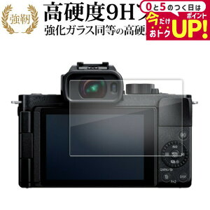 pi\jbN LUMIX G100D tی tB KX   dx9H [֑ jgs bgt ݊i