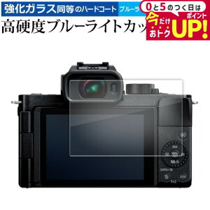 pi\jbN LUMIX G100D tی tB KX   dx9H u[CgJbg NA [֑ jgs bgt ݊i