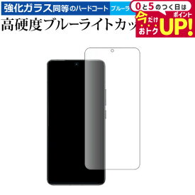 ＼15日は最大P5倍!!／ Xiaomi POCO F6 Pro 液晶保護 フィルム 強化ガラス と 同等の 高硬度9H ブルーライトカット クリア光沢 メール便送料無料 jgs bgt 互換品