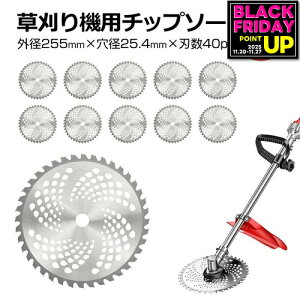 `bv\[ ֐n 10Zbg  nڂ @ @ 255mm 25.4mm @ `bv\[ 10 Zbg @ ւn ֐n  nڂ @p `bv\[ nʂ  jgs bgt