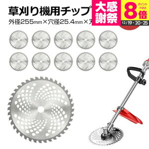 �`�b�v�\�[ �֐n 10���Z�b�g ���� �n���ڂ� �����@ ������@ 255mm 25.4mm ������@ �`�b�v�\�[ 10�� �Z�b�g ������@ �ւ��n �֐n ���� �n���ڂ� ������@�p �`�b�v�\�[ �n�ʂ� �������� jgs bgt