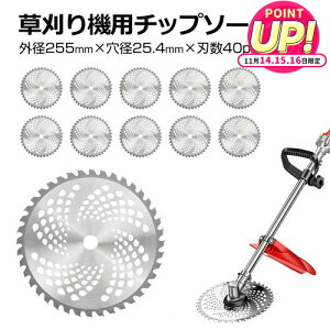 `bv\[ ֐n 10Zbg  nڂ @ @ 255mm 25.4mm @ `bv\[ 10 Zbg @ ւn ֐n  nڂ @p `bv\[ nʂ  jgs bgt