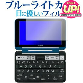 シャープ 電子辞書 Brain PW-S2 / PW-H2 / PW-B2 / PW-J2 / PW-A2 / PW-S1 / PW-H1 / PW-B1 / PW-J1 / PW-A1 / PW-ES8300（2021/2022/2023年モデル）専用 ブルーライトカット フィルム 反射防止 指紋防止 液晶フィルム メール便送料無料 jgs bgt 互換品