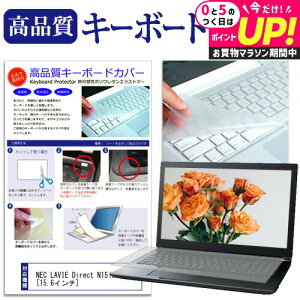 NEC LAVIE Direct N15(S) [15.6C`] L[{[hJo[ L[{[hی [֑ jgs bgt ݊i