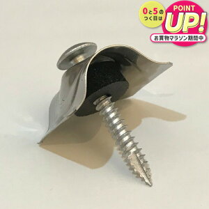 ؉np grX y32gp 100{z|JgEKogɎgp (XeX)M5×35