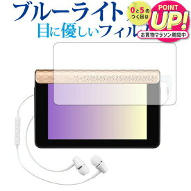 EX-Word RISE XDR-S1 /Casio専用 ブルーライトカット 反射防止 液晶保護フィルム 指紋防止 液晶フィルム メール便送料無料 jgs bgt 互換品