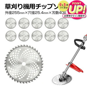 `bv\[ ֐n 10Zbg  nڂ @ @ 255mm 25.4mm @ `bv\[ 10 Zbg @ ւn ֐n  nڂ @p `bv\[ nʂ  jgs bgt