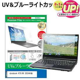 dynabook K70/HX 2024年版 [10.1インチ] 保護 フィルム カバー シート ブルーライトカット 反射防止 指紋防止 液晶保護フィルム メール便送料無料 jgs bgt 互換品