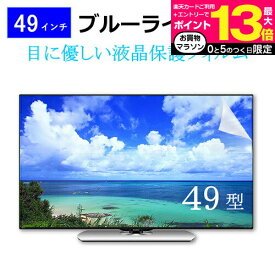 49インチ 49型 ブルーライトカット 液晶保護フィルム テレビ 画面 (W1074×H604mm) フリーカットタイプ メール便 送料無料