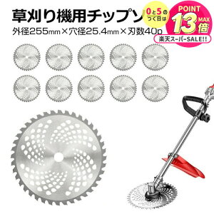 `bv\[ ֐n 10Zbg  nڂ @ @ 255mm 25.4mm @ `bv\[ 10 Zbg @ ւn ֐n  nڂ @p `bv\[ nʂ  jgs bgt