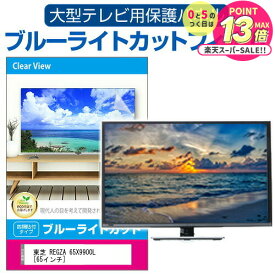 【 5日23時59分まで！P10倍 】 のぞき見防止 プライバシー フィルター 13.3インチ (294x166mm) 覗き見防止 ブルーライトカット 反射防止 フィルム ノートパソコン フィルター パソコン セキュリティー OAフィルター メール便 送料無料 jgs bgt 互換品