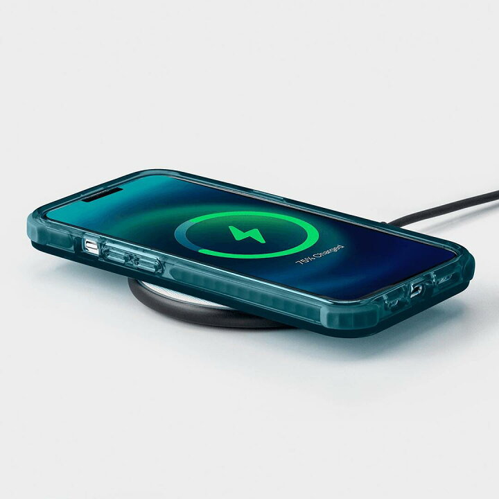 楽天市場】【公式】CASETiFY iPhone 13ProMax ウルトラインパクト