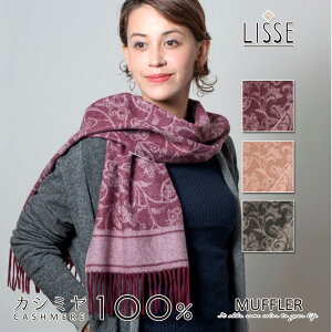 JV~ 100 }t[ 30cm×170cm AxXN GXjbN  炩 WK[h N S3F fB[X Y  j am ޏ    ꂳ  p JV~A JV~}