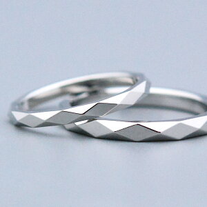 _CJbgtG^jeB[Ov`i pt950 pair ring 2.0mm 2.5mmbyAO2{}bWOw