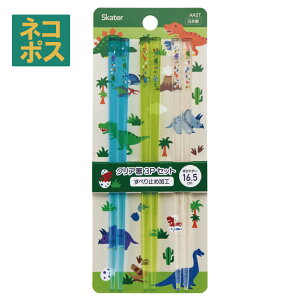 [`1118 P20{]# NA  q Zbg H@Ή  ׂȂ  16.5cm LN^[ AA2T XP[^[y ǂ ͂ AN ~  킢 {fBmTE