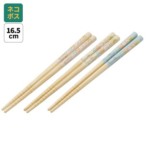 [`1118 P20{]#  q 킢 Zbg qǂ  3V Zbg qp | ct XP[^[ ANT2TyLN^[ v[g ۈ牀 ͂ ͂ nV nV |S݂R