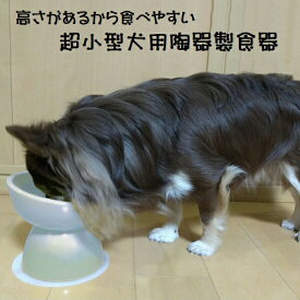 [4日～11日 P15倍]ペット 食器 犬用 食器台 食器皿 陶器 製 えさ皿 餌入れ おしゃれ エサ台 餌台 超小型犬 CHOB1 スケーター【ペット 犬 フードボウル フードボール 水入れ 水飲み 器 ボウル0】