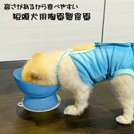 [5月22日〜6月15日 P10倍]スケーター 陶器製 短頭犬用食器ミント（ブルー）陶器 陶製 犬 ペット用食器 大阪公立大学との共同開発 スケーター