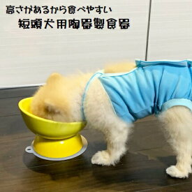 [5月22日〜6月15日 P10倍]スケーター 陶器製 短頭犬用食器イエロー陶器 陶製 犬 ペット用食器 大阪公立大学との共同開発 スケーター