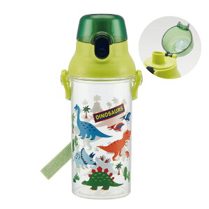 [`1118 P20{] LbY ^b` vX`bN  NA {g 480ml 500ml XP[^[ PSB5TR  fBmTEX  _Ci\[ j̎q jqy LbY ^b` v