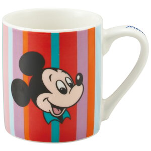 [`1118 P20{]}ORbv[S] LN^[ l q CHMG14 XP[^[ ~bL[}EX ~bL[ j̎q ̎q Disney y퐻   }O Rbv Jbv }OJbv ߁z