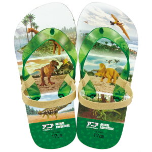 r[`T_ LbY 17cm q LN^[ T_ ėp ɂȂ skater XP[^[ SDBE17 23N AjA Aj} Ahx`[  j̎qy17 r[Tqǂ C v[ Soht