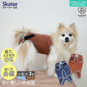 [102`27 P10{]# ybgp p㕞  j̎qp 3 lCr[ w b w Ƃ J PETCM1 XP[^[ IX Yy R L p EFA  񂿂 ɂ₳ 