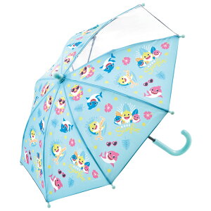 q P 35cm J t 2 3 ct ʉ  킢 qǂ skater XP[^[ UB0 xCr[V[N 23N T̂ j̎q ̎qyLN^[ qp a v[g 