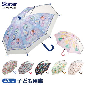 [102`27 P20{]qp P LbY 40cm   OXt@Co[  JP J LN^[ fBYj[ vZX J[Y v[ ~bL[ skater XP[^[ UB40y蓮 40Z` 