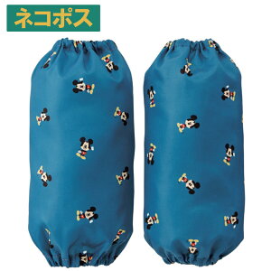  ǂpHA[Jo[ ~bL[}EX xr[pi xr[ObY LbY q qǂ H ͂  G   yh~ LN^[ fBYj[ Disney XP[^