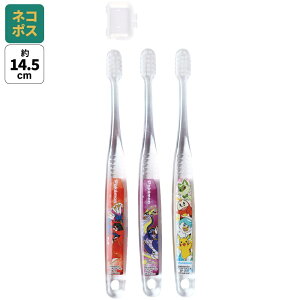 [`1118 P20{]# uV q Zbg ǂ 3{ 炩 nuV  ₷ qp skater XP[^[ TBCR5T |PbgX^[ 23N |P sJ`EyLN^[ ct 