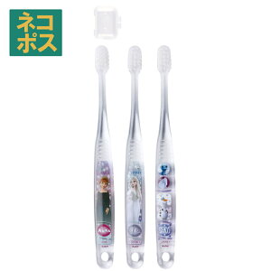 [`12317܂ P20{]# uV q Zbg ǂ 3{ 炩 nuV  ₷ qp XP[^[ TBCR5T AiƐ̏ 2 23N Ai fBYj[ ̎q qyLN^