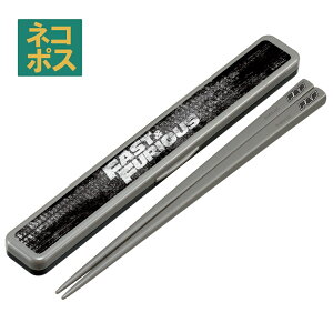 食洗器対応 お箸セット 箸入れ 抗菌 カトラリー お弁当 箸 カトラリーセット skater スケーター ABC4AG ワイルドスピード ワイスピ Fast & Furious グッズ【大人 箸ケース はし セット 蓋付き 箸箱 お