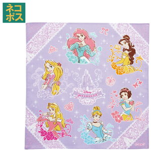 �n���J�` 30×30cm �q�� �L�����N�^�[ �T�C�Y ���w�Z �ۈ牀 �w�Z HKC30 �X�P�[�^�[ skater �f�B�Y�j�[ �v�����Z�X ���̎q ���q�y�͂񂩂� �L�b�Y ���ǂ� �q�ǂ� ���킢�� ���� �c�t���z