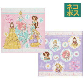 [〜8月11日まで P10倍]ランチクロス 2枚 セット 風呂敷 クロス お弁当包み キャラクター ランチョンマット KB4WN スケーター skater 23年 ディズニー プリンセス 女の子 女子【お弁当 学校 ランチ キッズ 子供 小学校 幼稚園 かわいい】